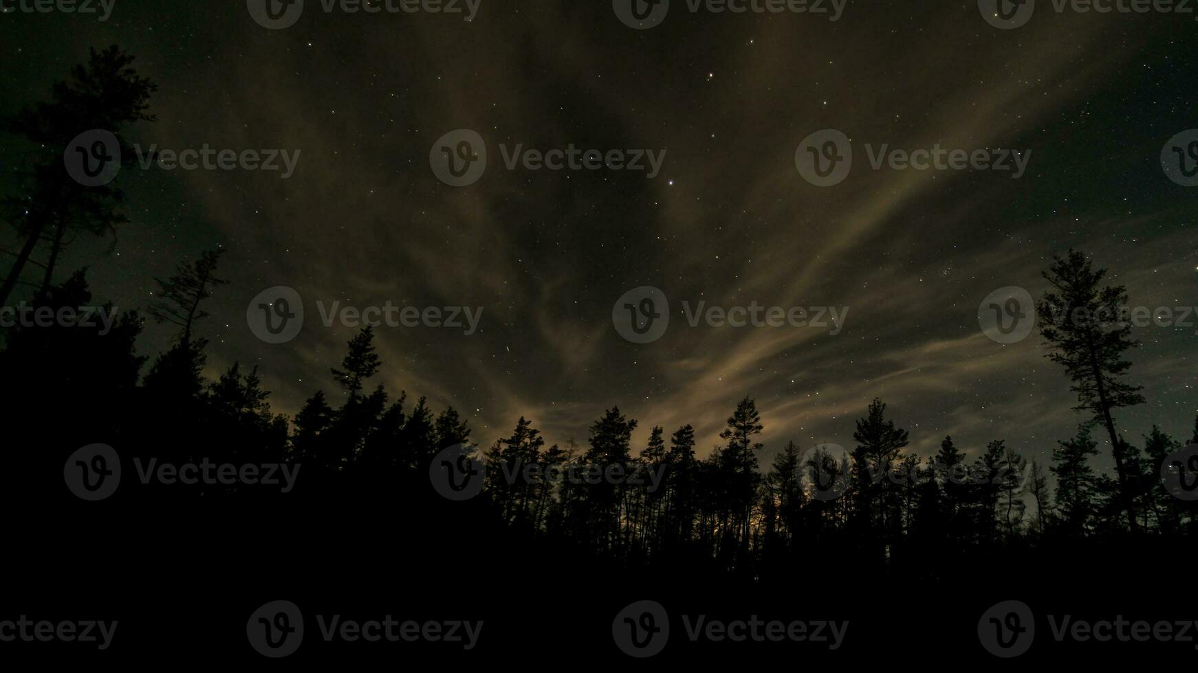 Sterne und Wolken im das Nacht Himmel über das Wald foto