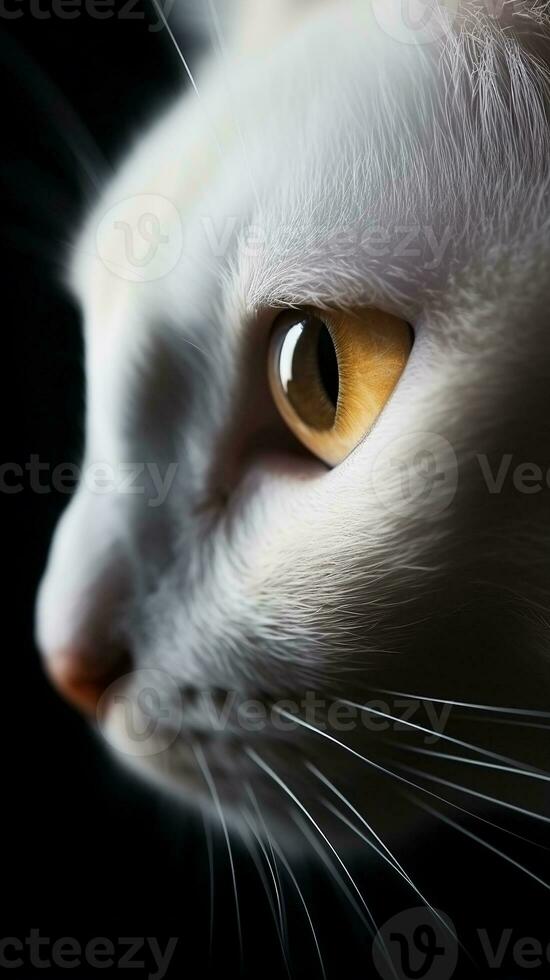 ai generiert Nahansicht Weiß Katze Auge, Porträt von Tier auf dunkel Hintergrund. ai generiert foto