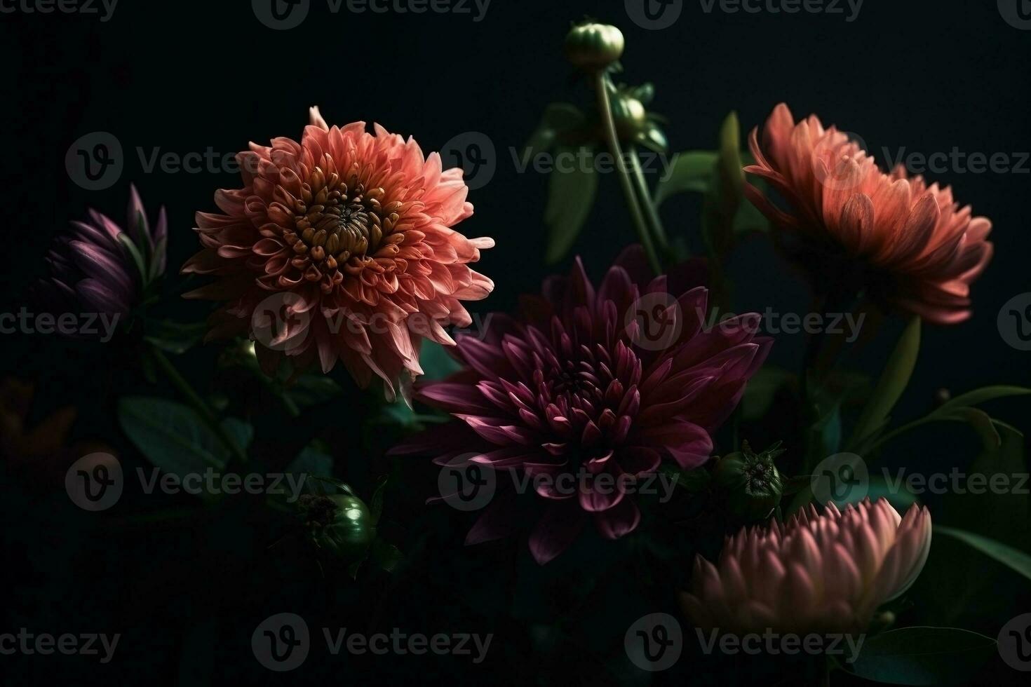 ai generiert Chrysanthemen Nahansicht dunkel romantisch Hintergrund. Blumen Hintergrund. ai generiert foto