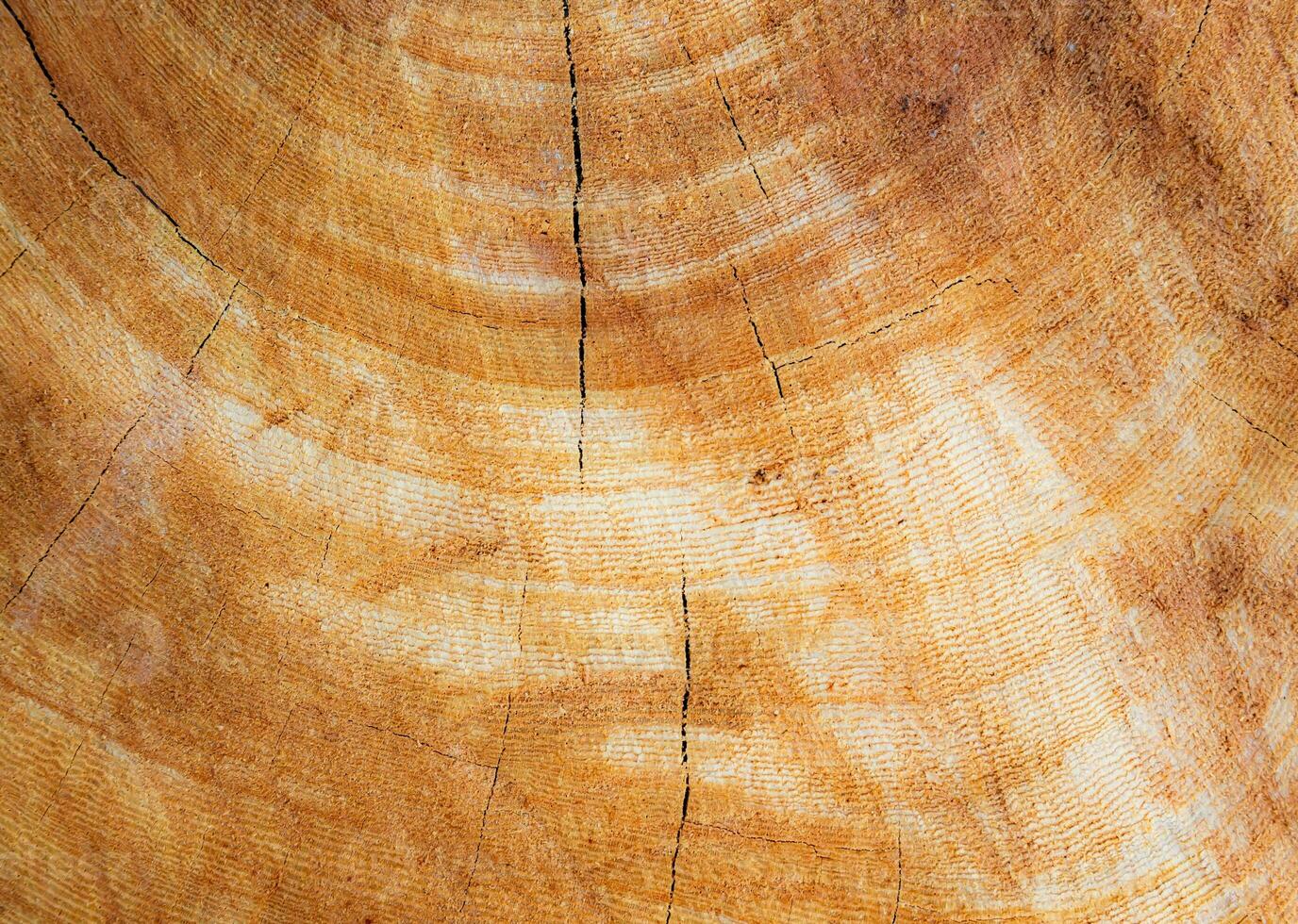 ein schön Holz Muster Hintergrund Das können Sein benutzt zum ein Vielfalt von Zwecke. foto