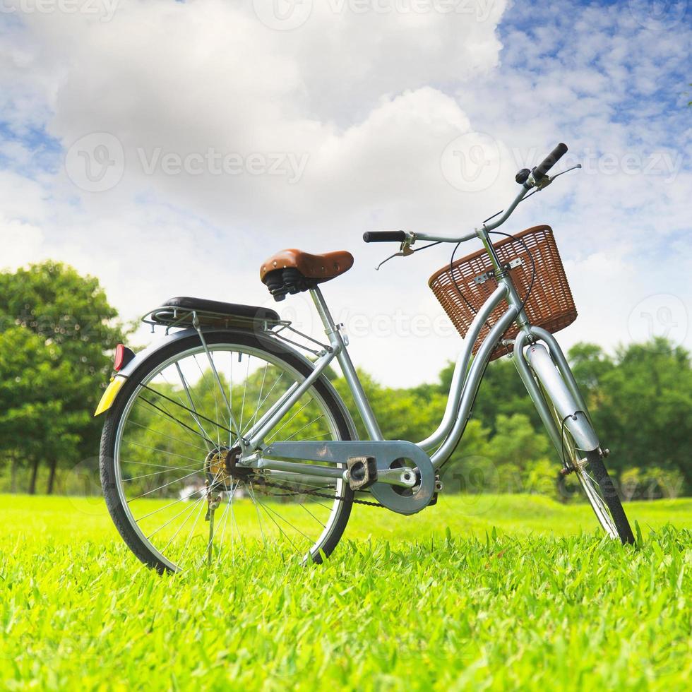 Fahrräder im Park foto