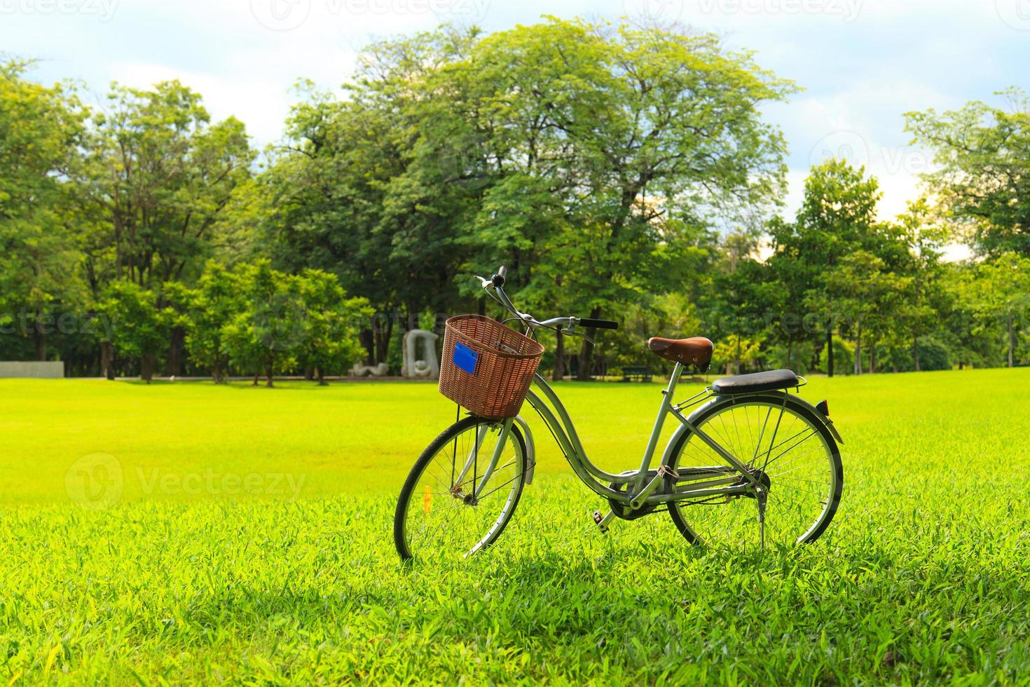 Fahrräder im Park foto