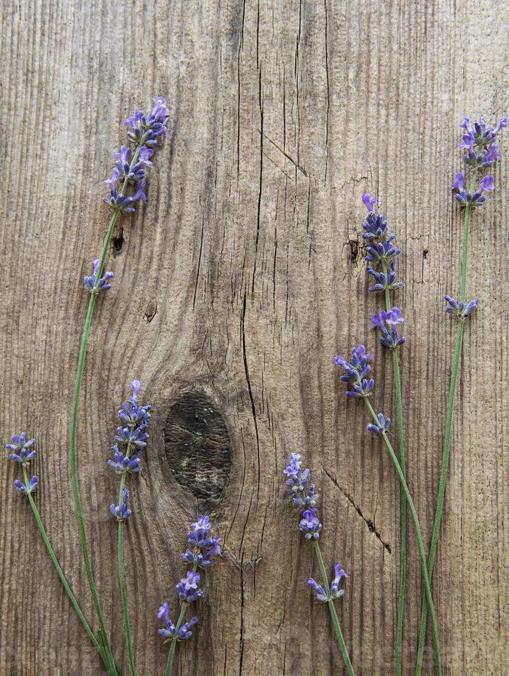 Lavendel auf einem alten hölzernen Hintergrund foto