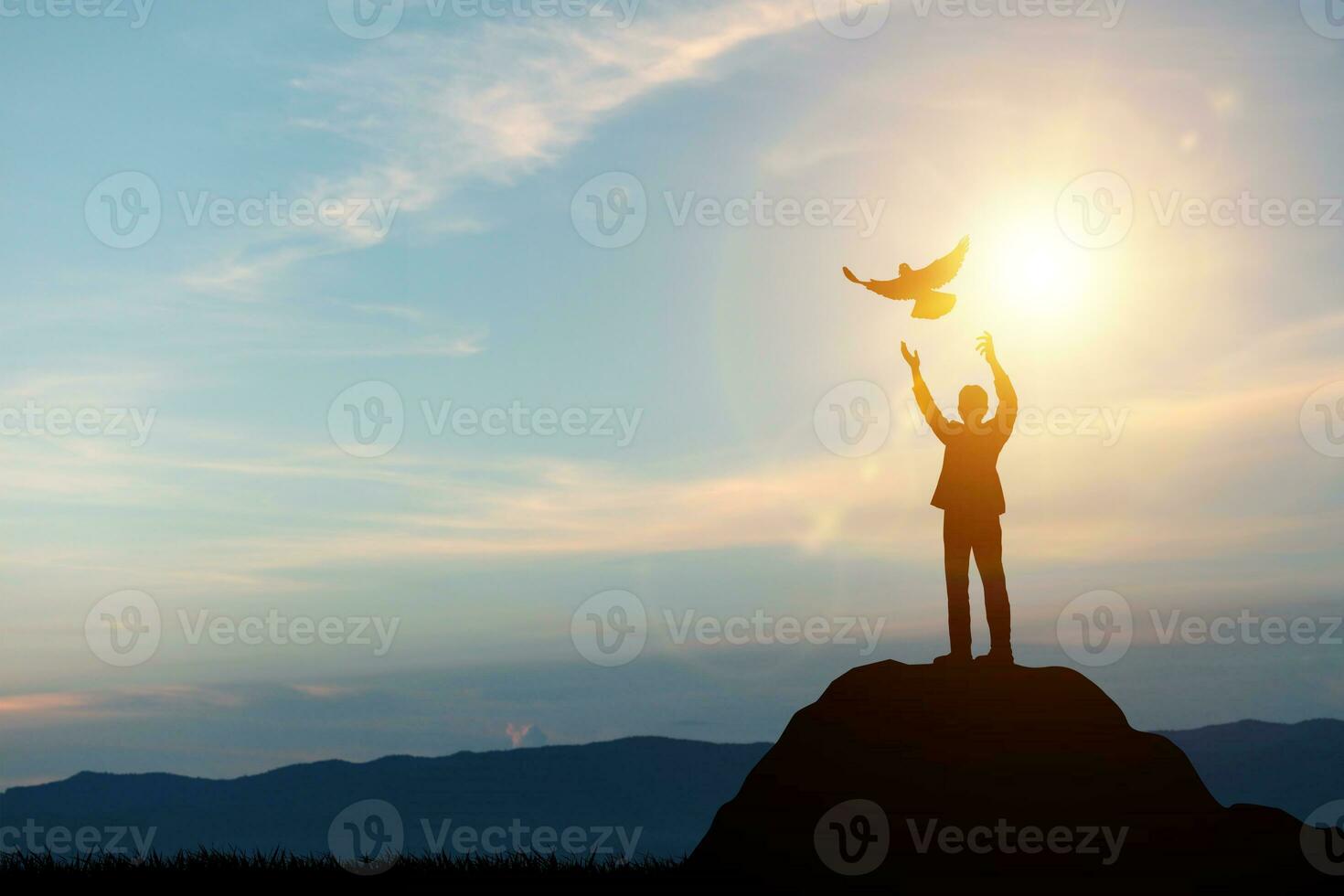 Silhouette von Geschäftsmann loslassen Tauben auf ein Berg Gipfel mit Sonnenuntergang Licht. Konzept von Frieden und Freiheit Symbol von habe gedacht zum Geschäft foto