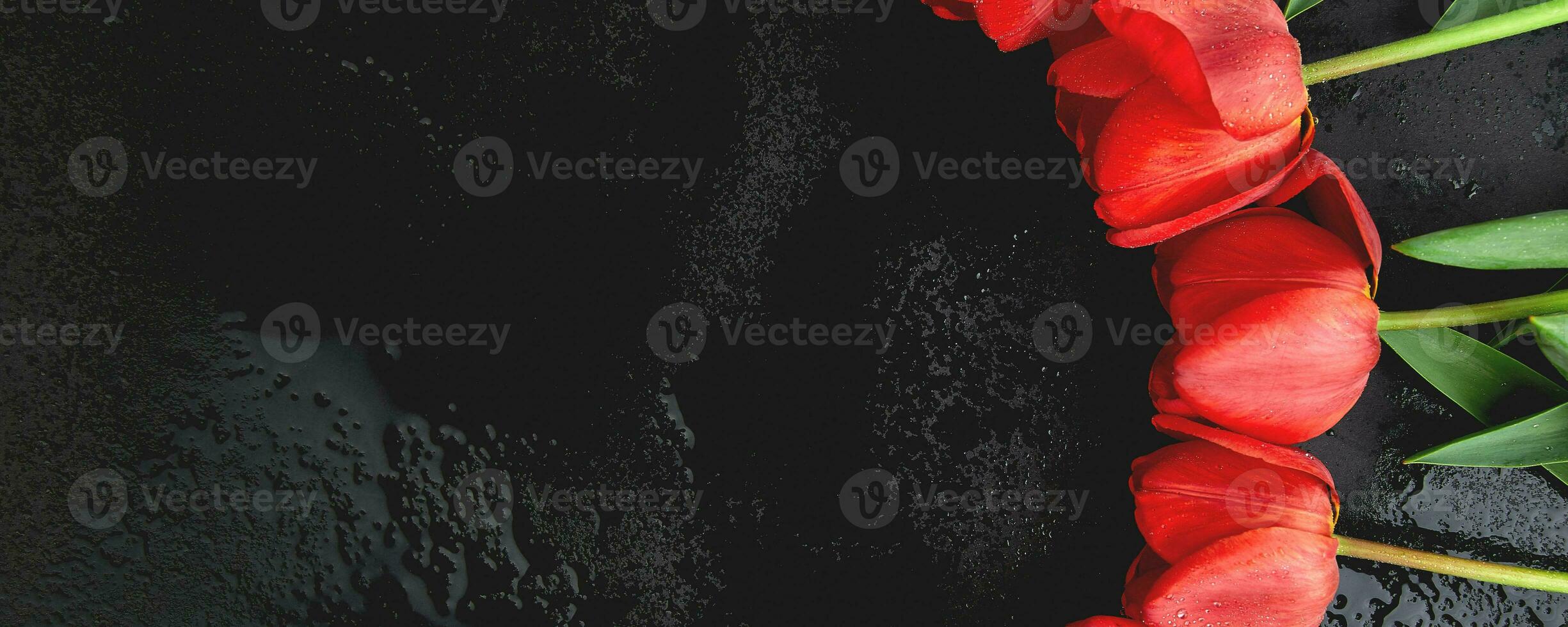 Banner mit frisch rot Tulpen auf schwarz Hintergrund. ein Strauß von Frühling Blumen, schön Gruß Karte. foto