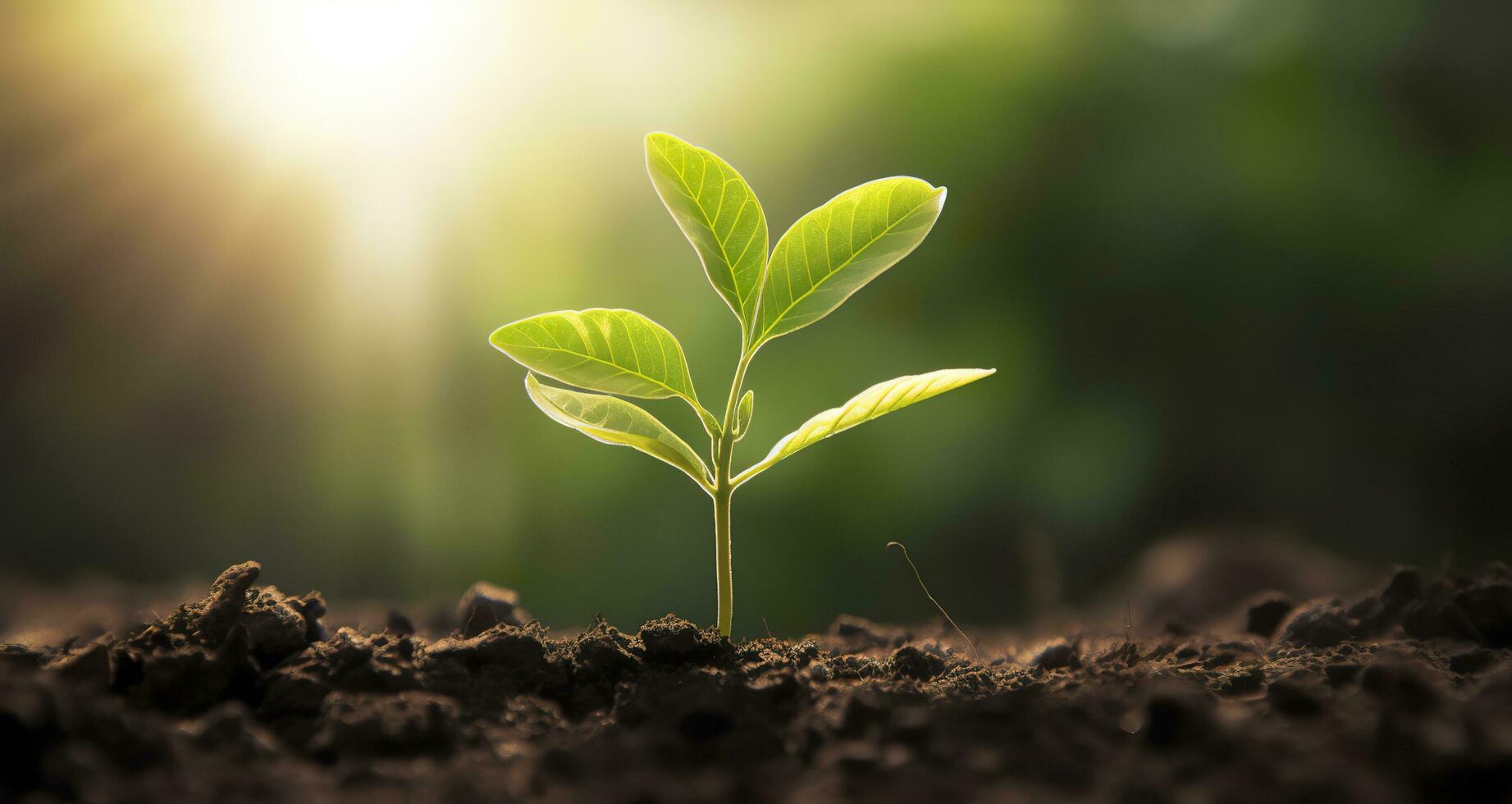 ai generiert klein Baum wachsend mit Sonnenschein im das Garten. Öko Konzept. generativ ai foto