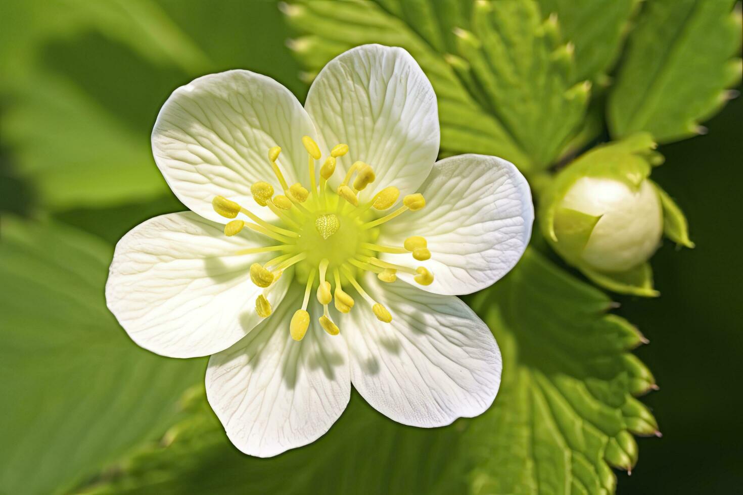 ai generiert Erdbeere Blume. ai generiert foto