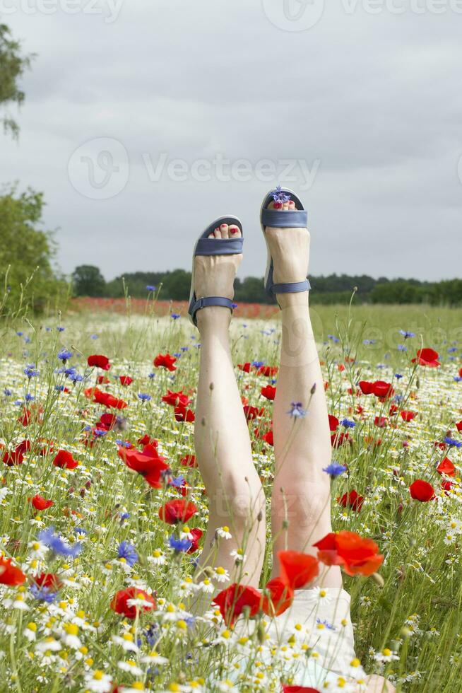 weiblich Beine Stock aus von das Feld von mehrfarbig Blumen, Explosion von Farbe foto
