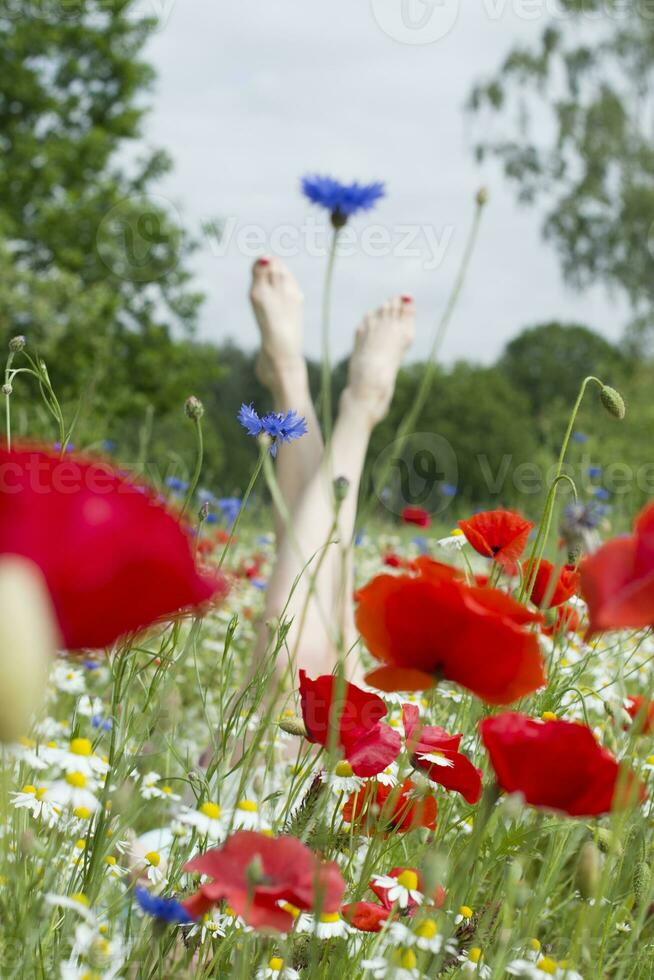 weiblich Beine Stock aus von das Feld von mehrfarbig Blumen, Explosion von Farbe foto