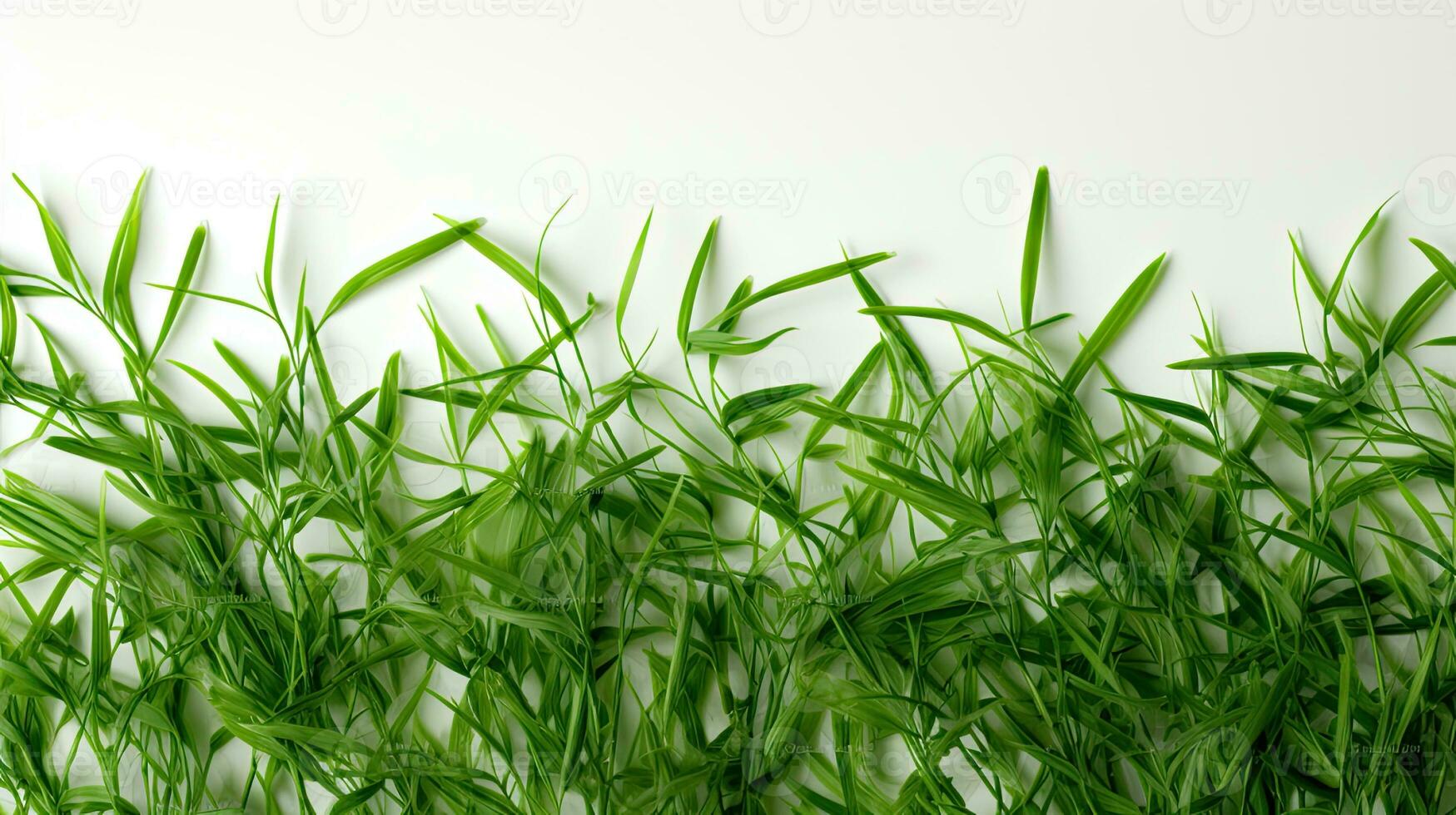 ai generiert Grün Gras Textur auf Weiß Hintergrund foto