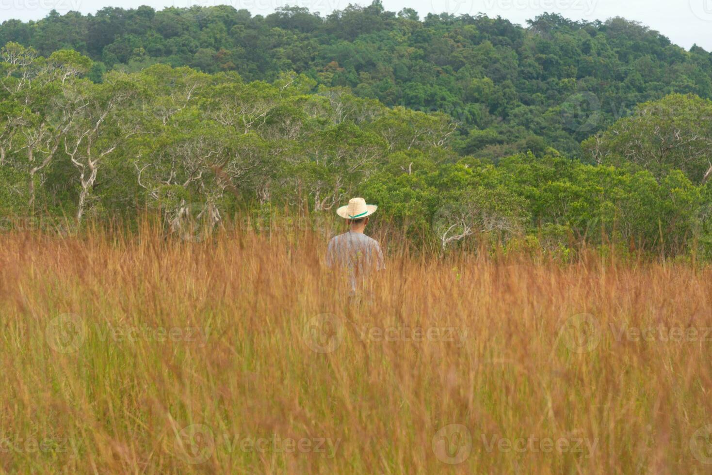 ein asiatisch Erwachsene Reisender im Savanne Feld beim Phangnga Provinz foto