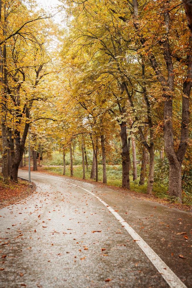 Straße im Herbstwald foto