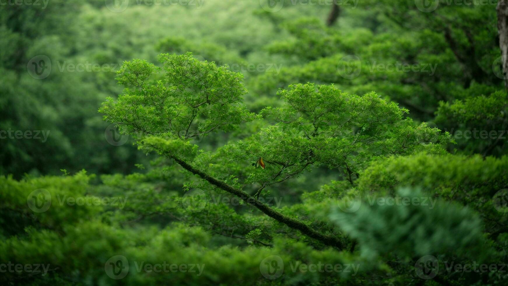 ai generiert analysieren das Einschlag von Klima Veränderung auf das absolut Grün Baum Natur Hintergrund, in Anbetracht es ist Auswirkungen auf beide Pflanze Leben und das wandernd Muster von bunt Vögel. foto