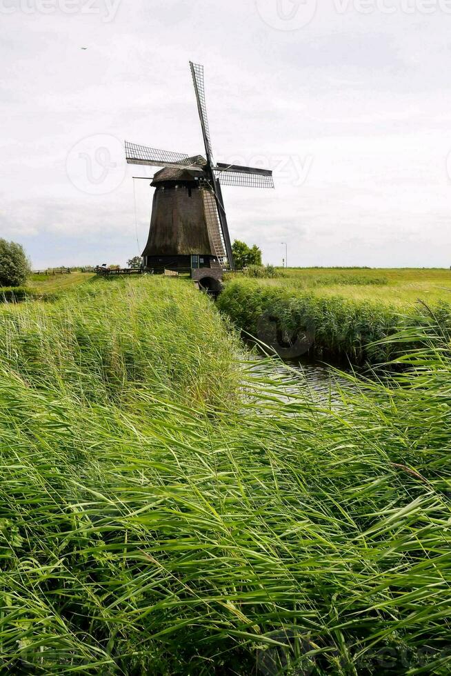 ein Windmühle im das Mitte von ein Feld foto