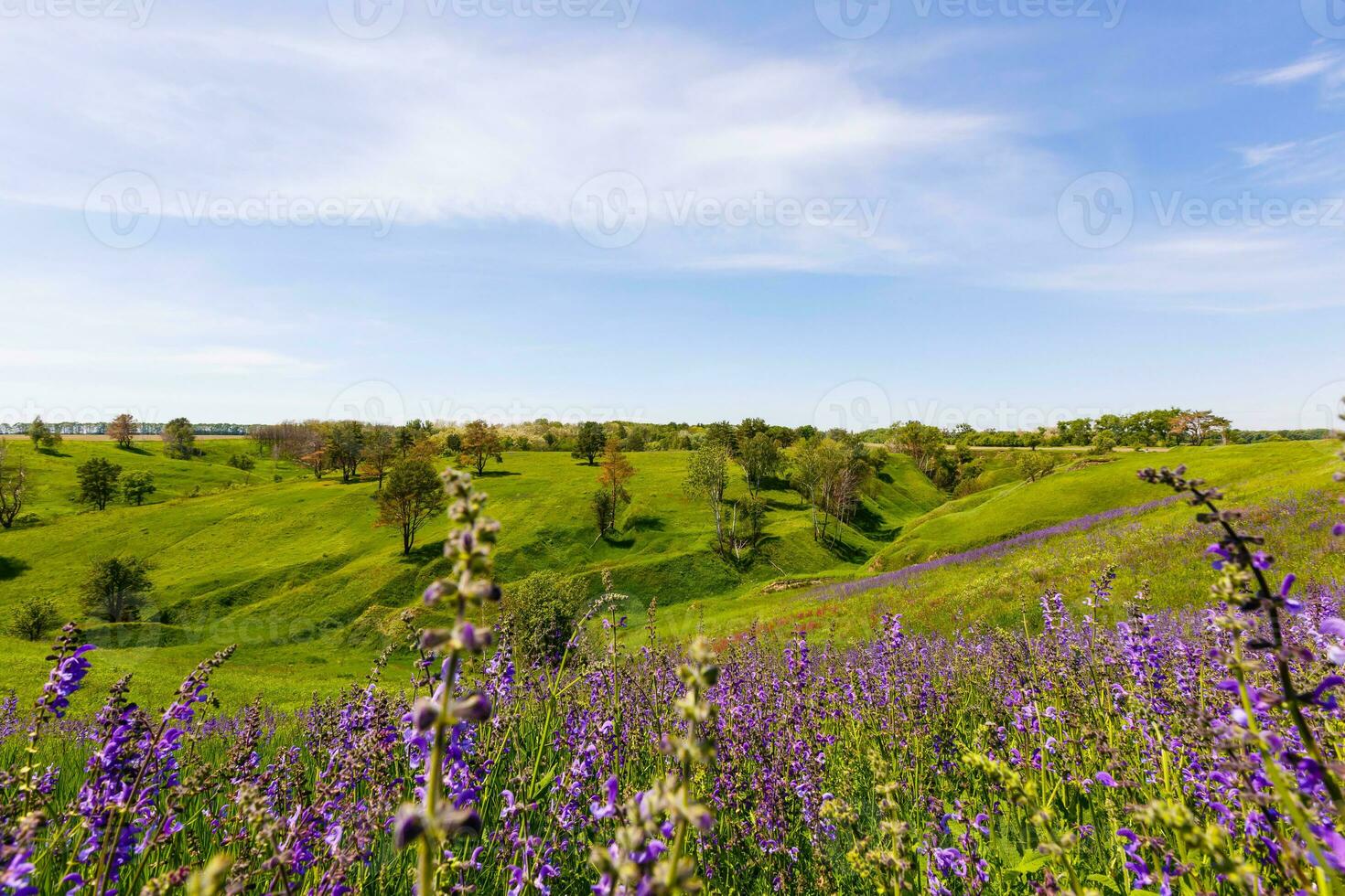 Frühling Fotografie, Wiesen, Felder, Schluchten, Hügel, ländlich Landschaft. ein tief, eng Schlucht mit steil Pisten. ein natürlich angehoben Bereich von Land, nicht wie hoch oder schroff wie ein Berg. foto