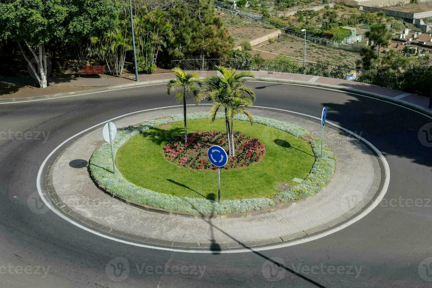 ein Kreisel mit Palme Bäume und ein der Verkehr Zeichen foto