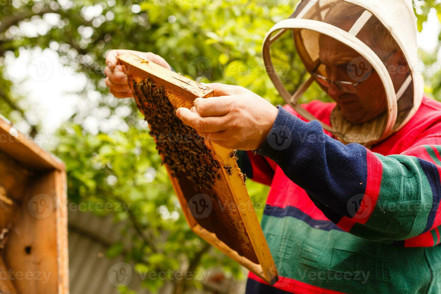 Imker Arbeiten sammeln Honig. Bienenzucht Konzept. foto