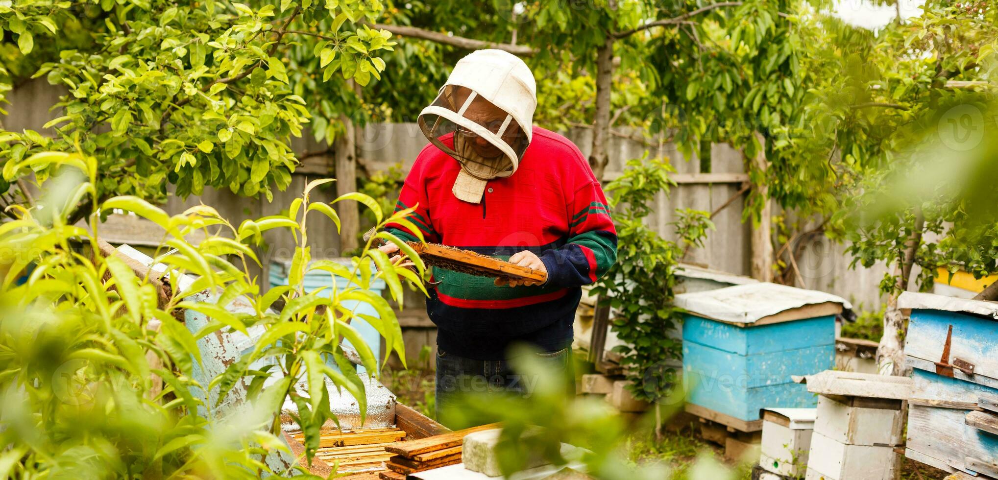 Imker ist Arbeiten mit Bienen und Bienenstöcke auf das Bienenhaus. Imker auf Bienenhaus. foto