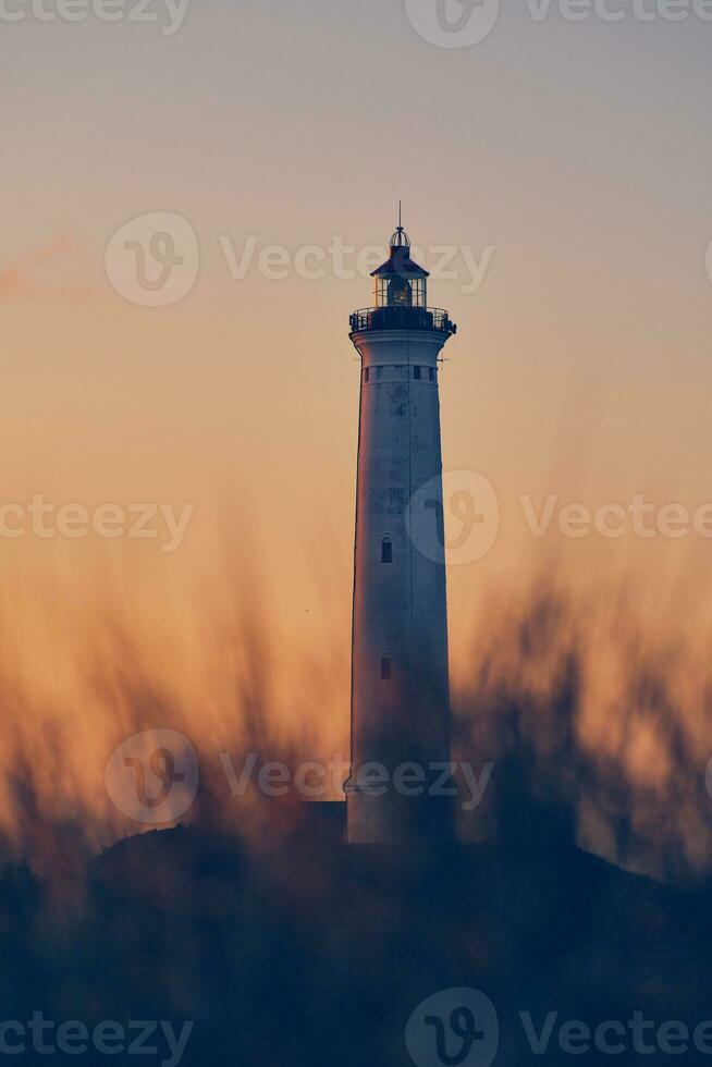 Leuchtturm im das Dünen beim das dänisch Küste foto