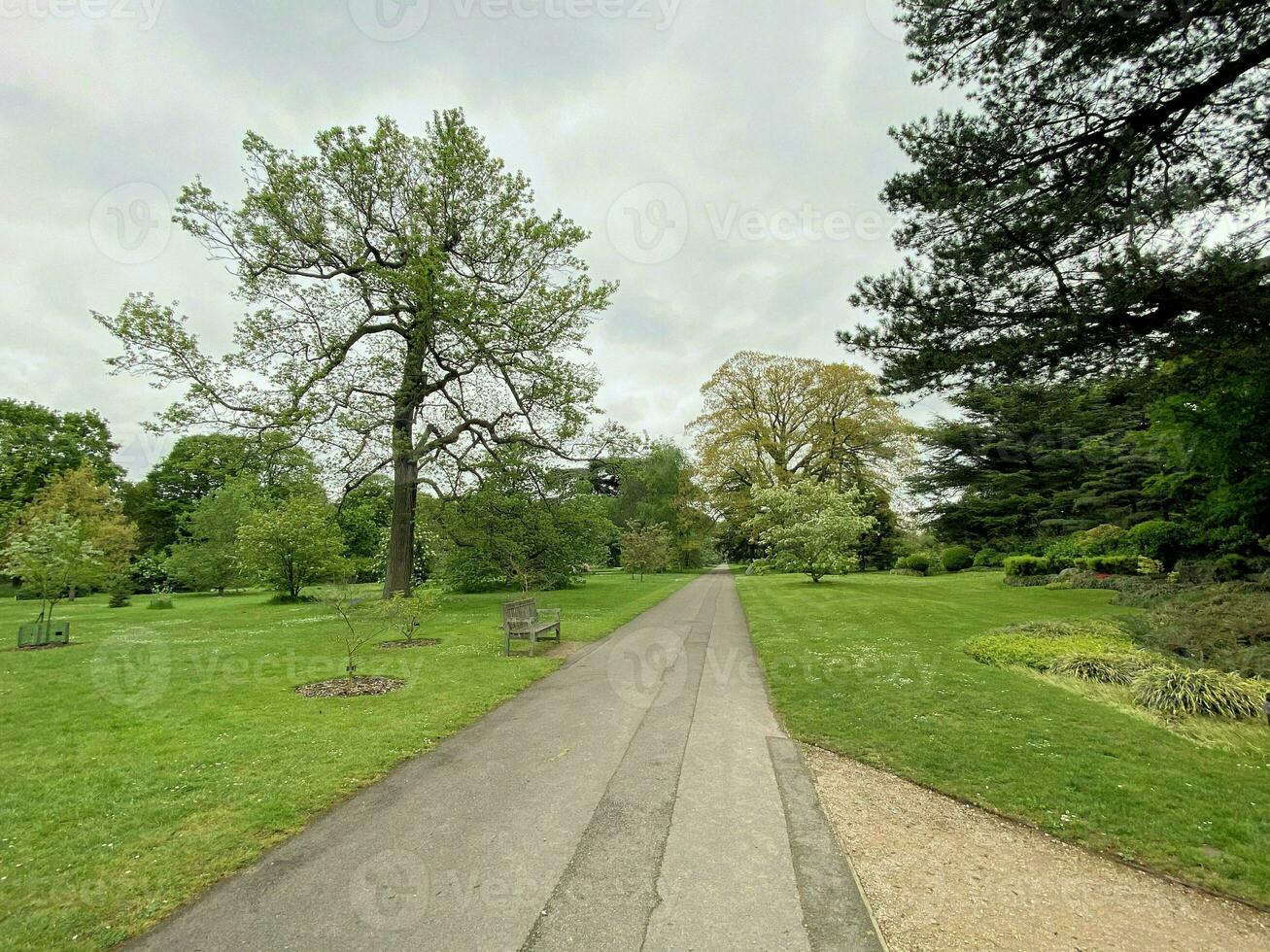 ein Aussicht von ein Park im London auf ein wolkig Tag foto