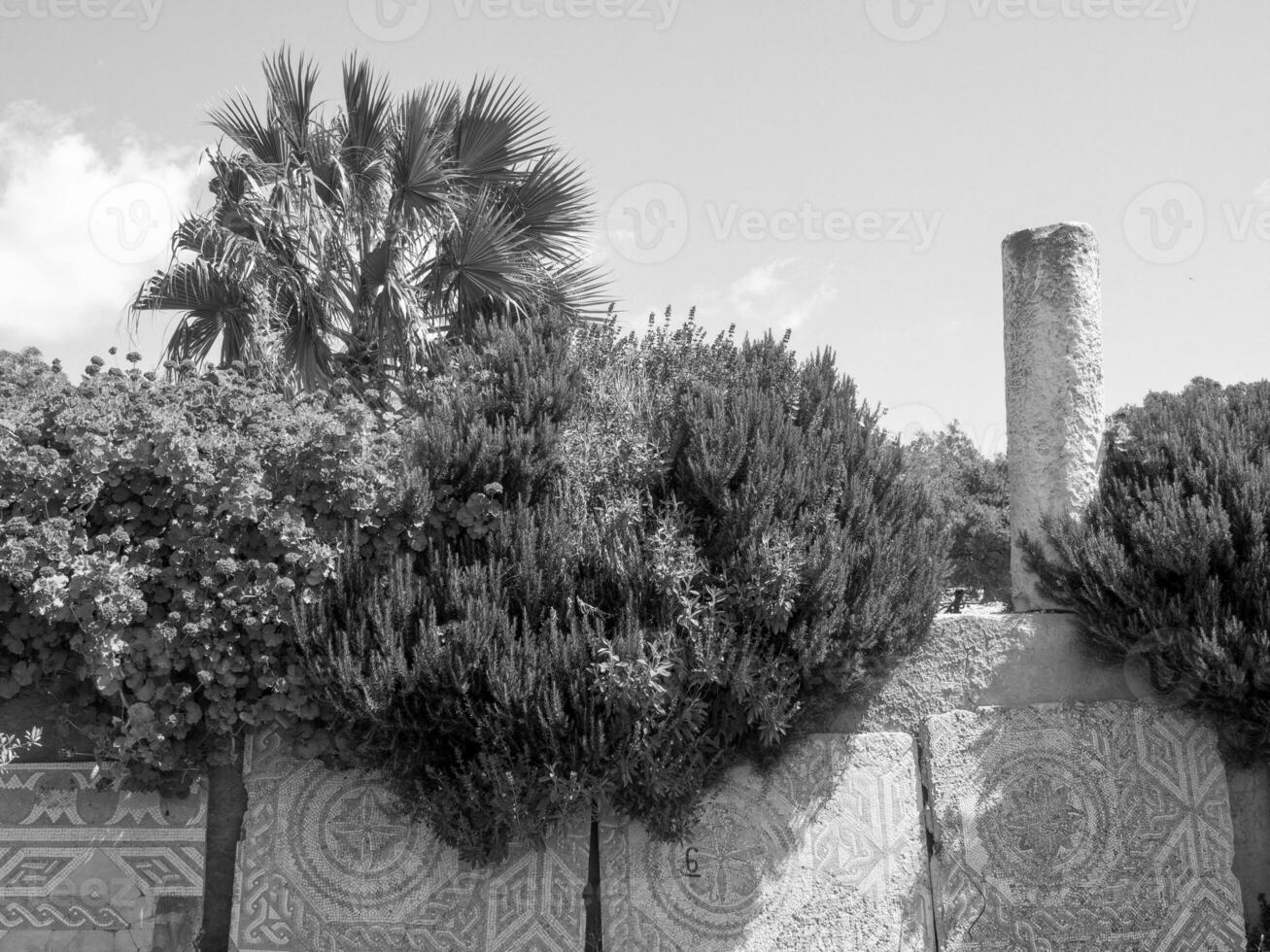 die Stadt Tunis in Tunesien foto