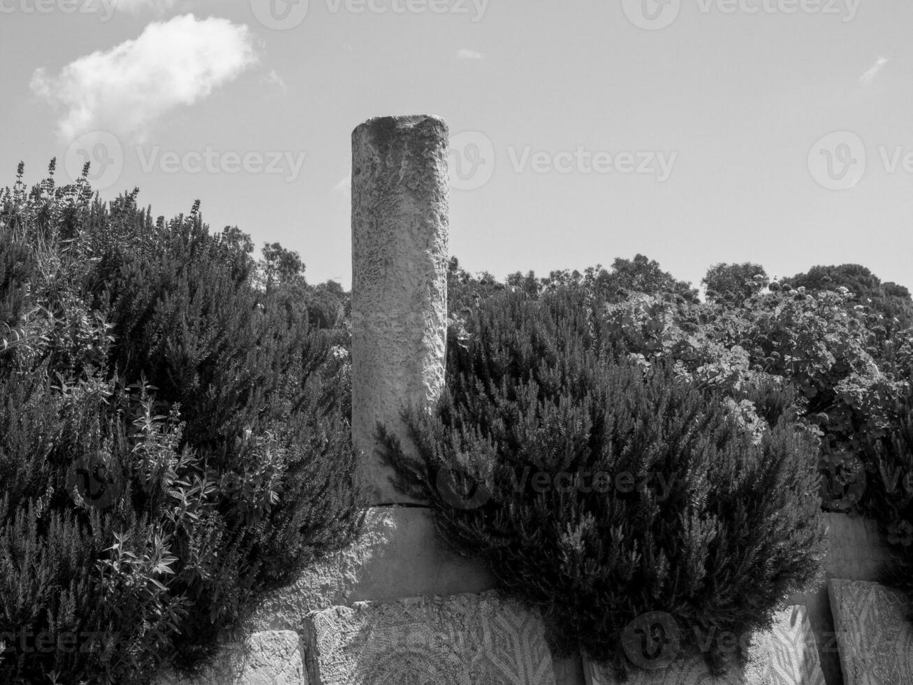 die Stadt Tunis in Tunesien foto