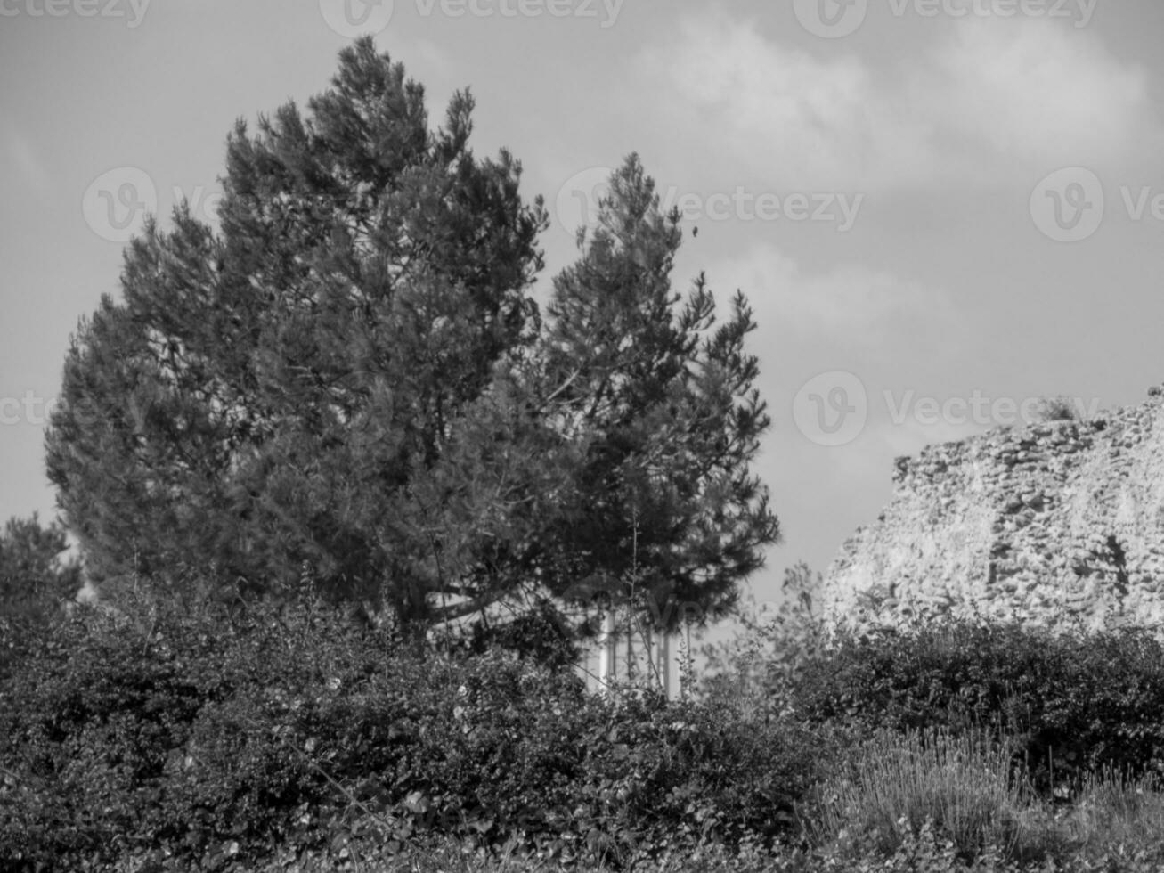 die Stadt Tunis foto