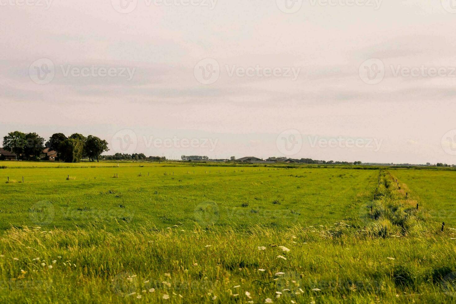 szenisch ländlich Aussicht foto