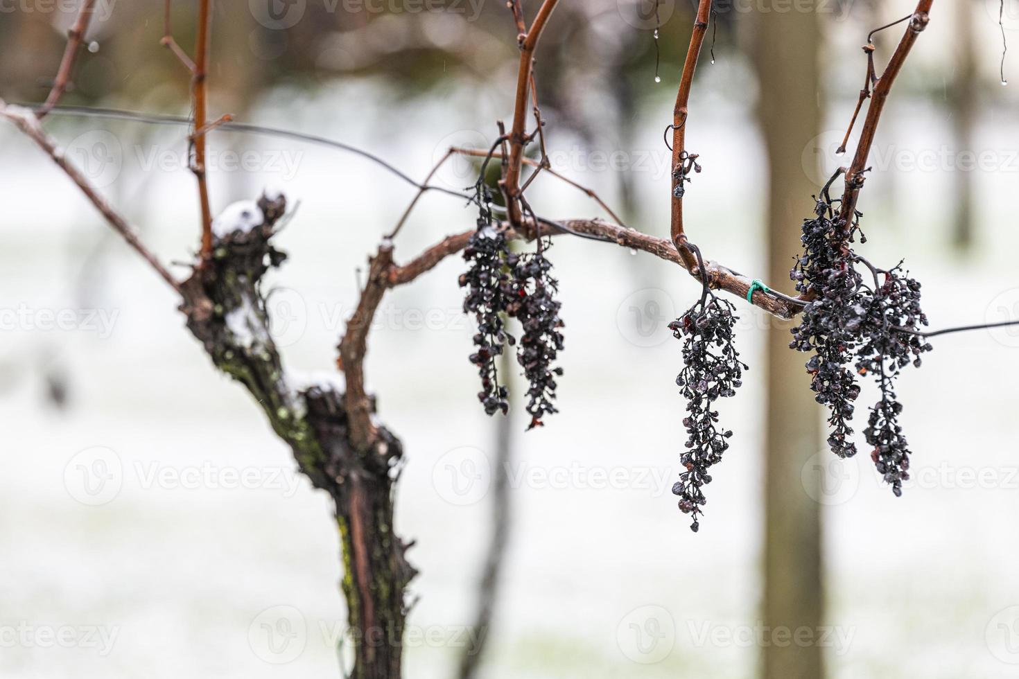 erster Schnee auf den Hügelstädten. zwischen Herbst und Winter foto