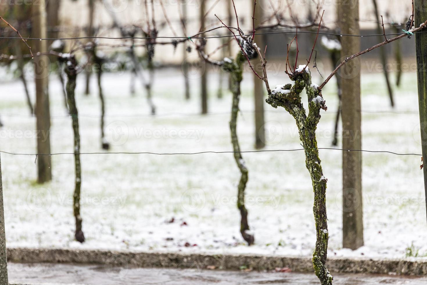 erster Schnee auf den Hügelstädten. zwischen Herbst und Winter foto