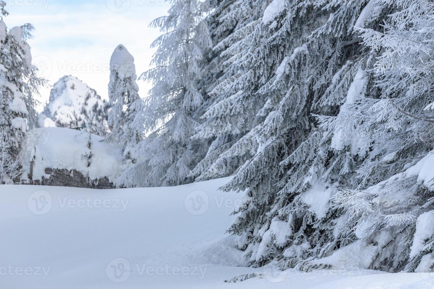 nach dem Schneefall. letzte lichter der dämmerung in sappada. Magie der Dolomiten foto