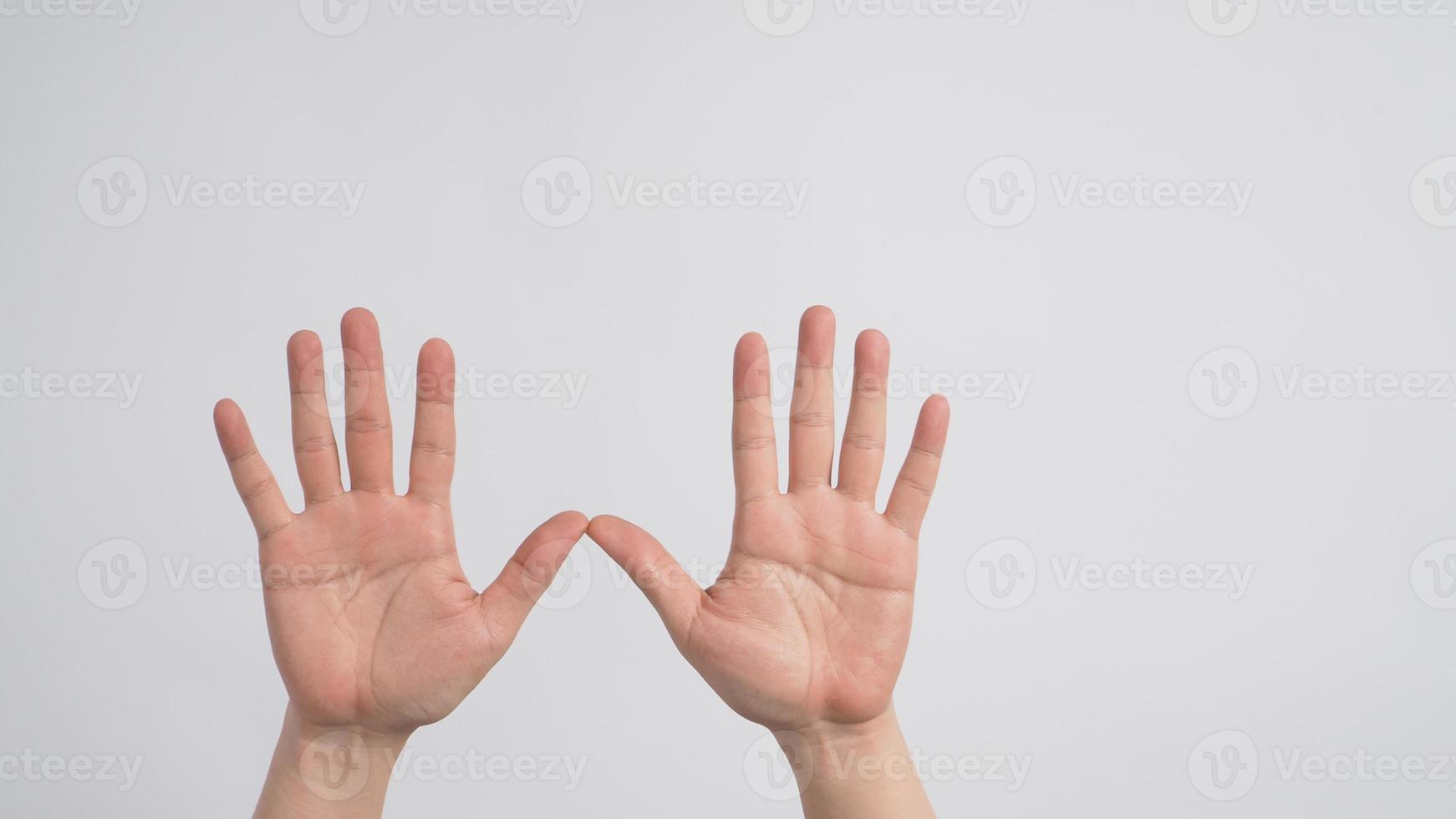 leere zwei hände breitet sich mit palme auf weißem hintergrund aus. foto