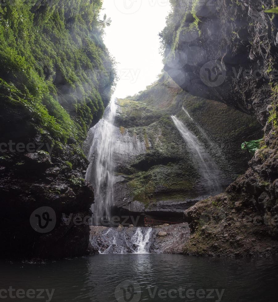 Madakaripura-Wasserfall, der auf Felsental mit Pflanzen im Nationalpark fließt foto