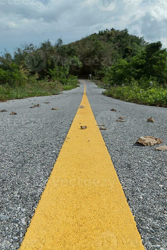 Gelb der Verkehr Linien mit trocken Blatt auf das Boden. foto