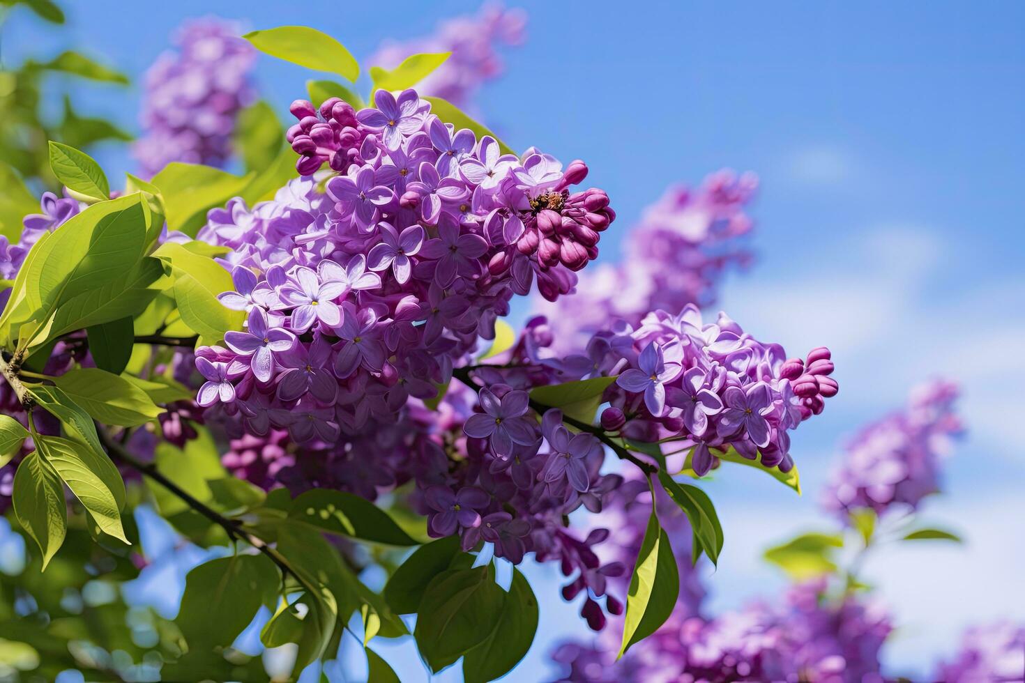 ai generiert lila unter Blau Himmel. ai generiert foto