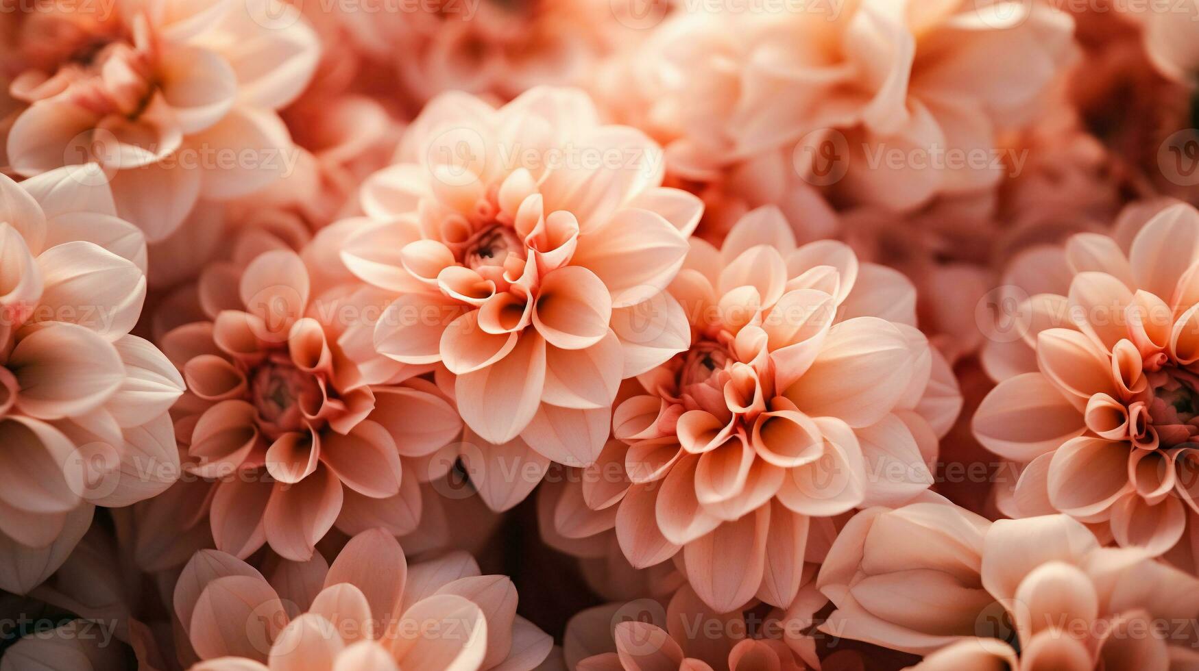 ai generiert schön Blumen im Sanft Farbe und verwischen Stil zum Hochzeit Hintergrund. foto