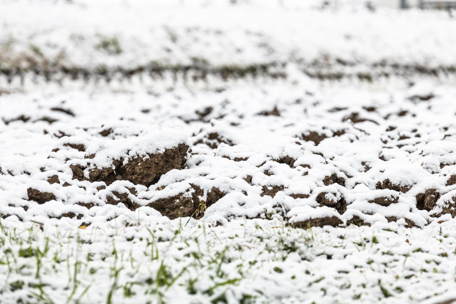 erster Schnee auf den Hügelstädten. zwischen Herbst und Winter foto