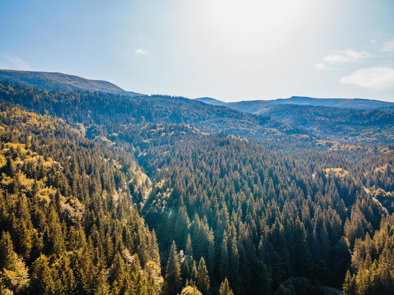 Luftaufnahme des Waldes in den Karpaten foto