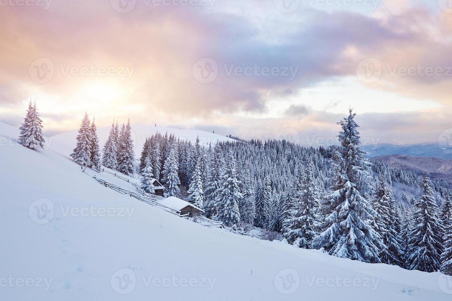 gemütliche Holzhütte hoch in den verschneiten Bergen. große Kiefern im Hintergrund. Kolyba Hirte verlassen. bewölkter Tag. Karpaten, Ukraine, Europa foto
