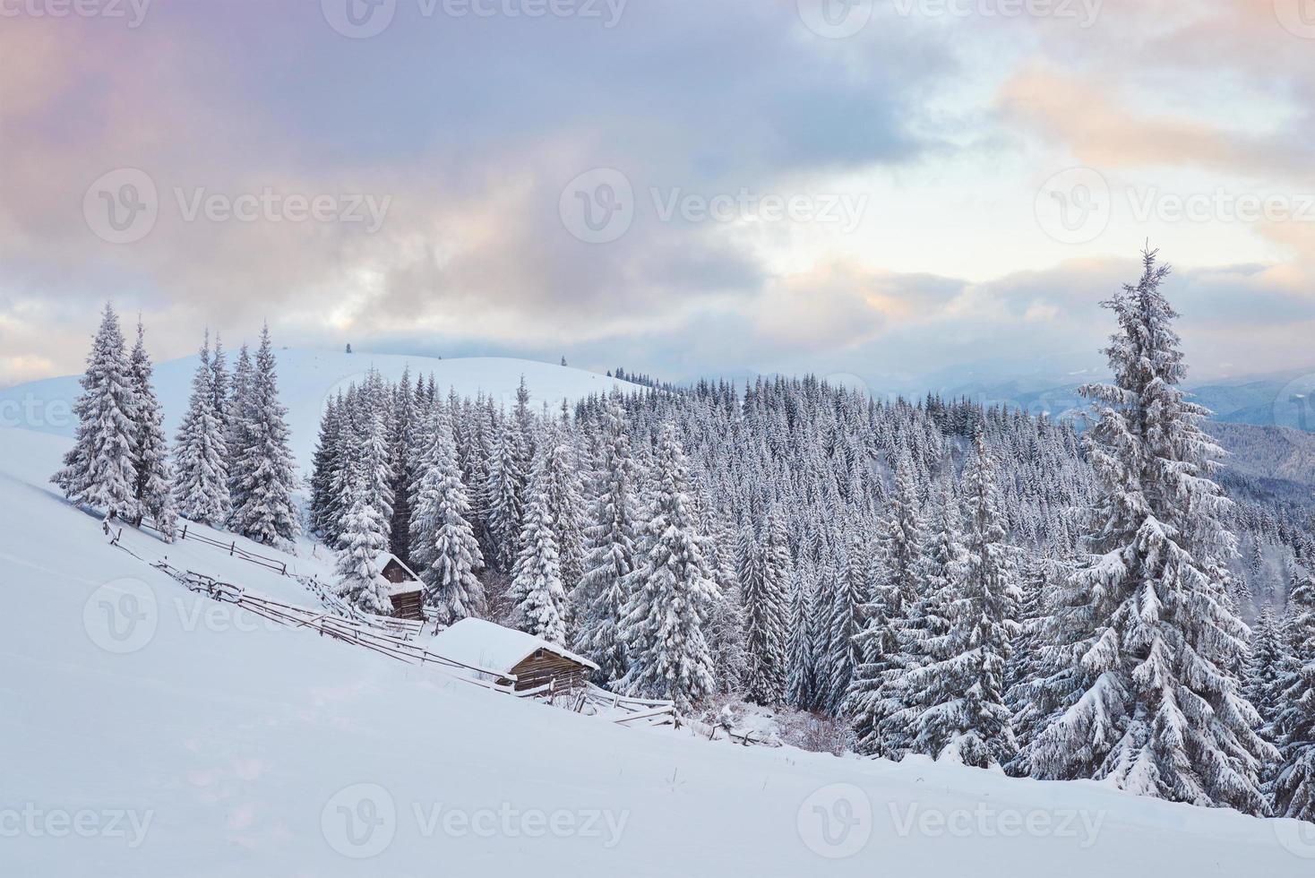 gemütliche Holzhütte hoch in den verschneiten Bergen. große Kiefern im Hintergrund. Kolyba Hirte verlassen. bewölkter Tag. Karpaten, Ukraine, Europa foto