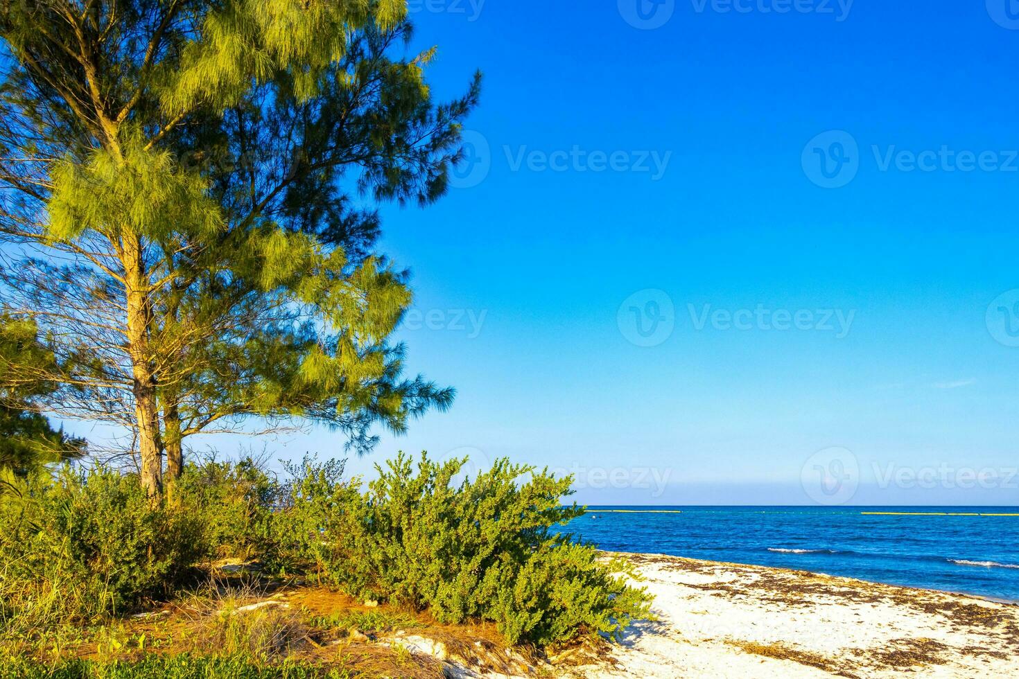 tropischer karibischer strand klares türkisfarbenes wasser playa del carmen mexiko. foto