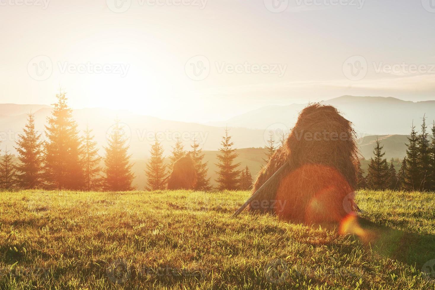 Heuhaufen bei Sonnenuntergang. Wiese, Stück Grünland, vor allem als Heu. Karpaten, Ukraine foto