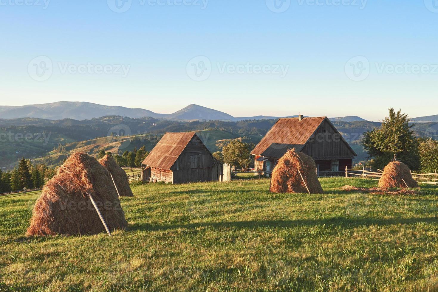 Heuhaufen bei Sonnenuntergang. Wiese, Stück Grünland, vor allem als Heu. Karpaten, Ukraine foto