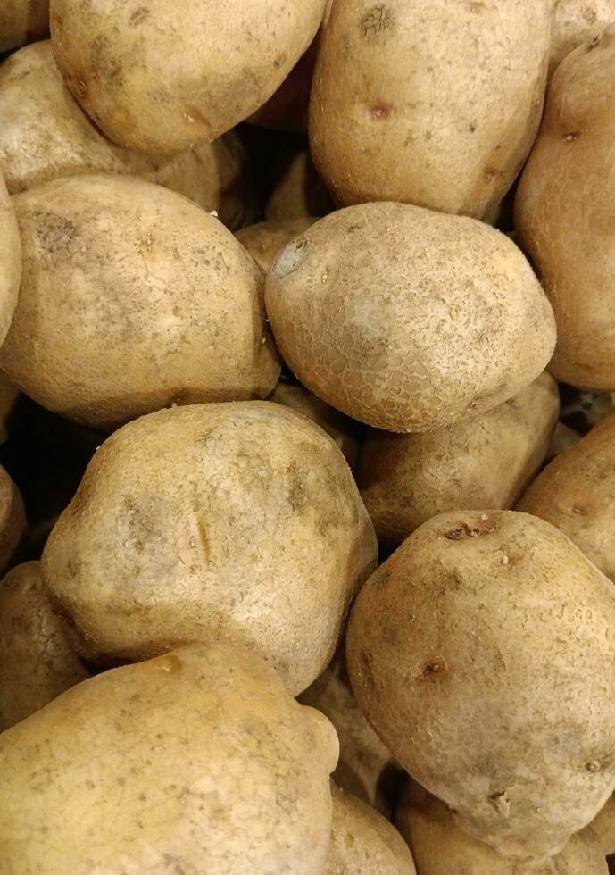Natur Bild Sicht. frisch roh indonesisch Kartoffel - - gesund Essen foto
