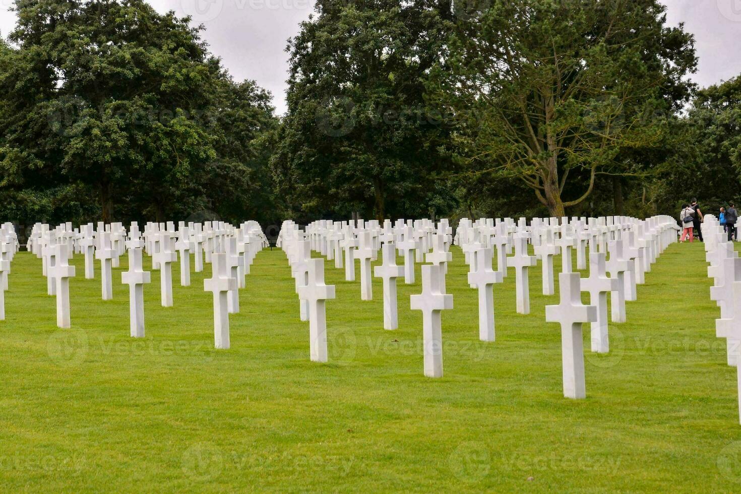 Reihen von Weiß Kreuze im ein Friedhof foto