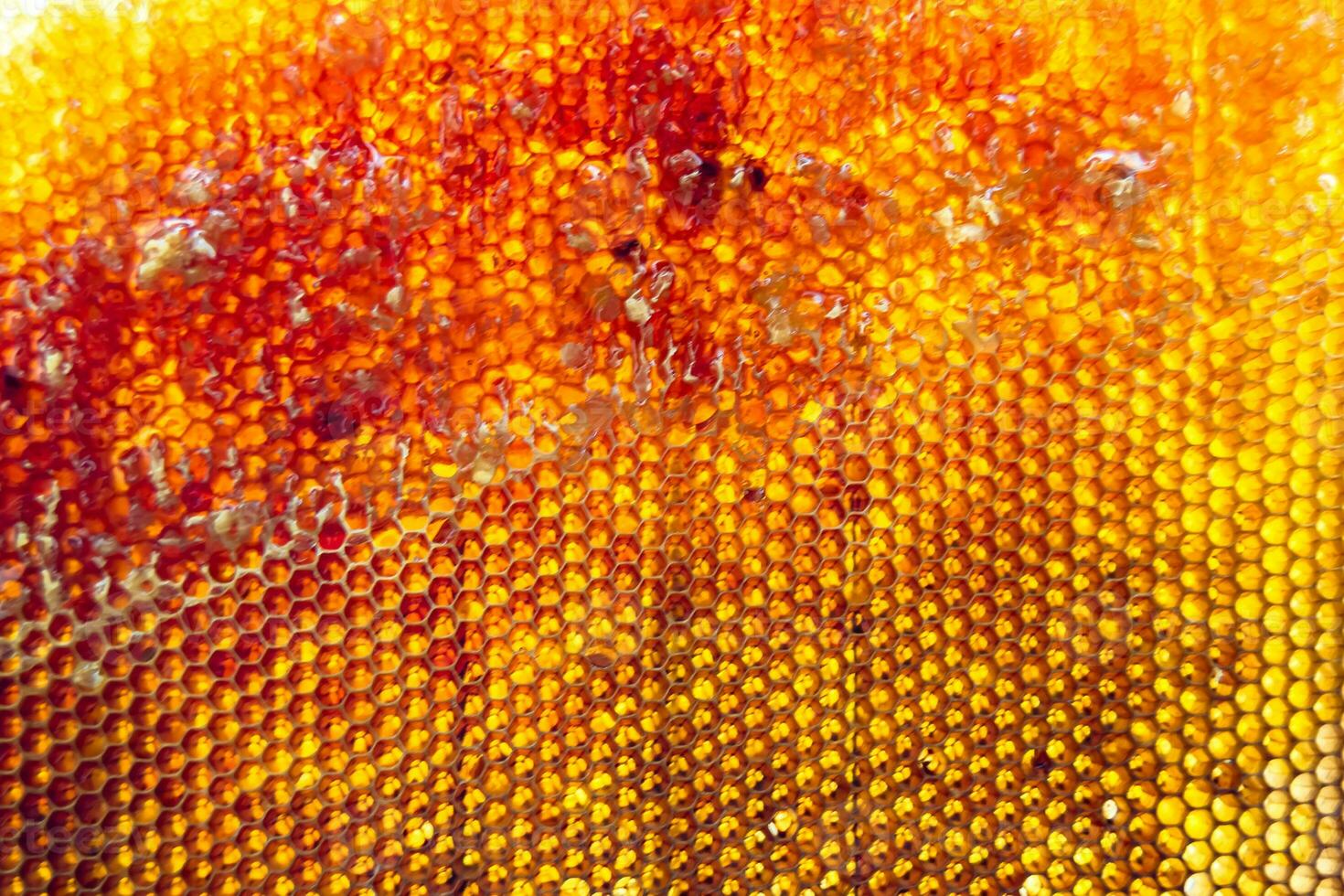 Tropfen Bienenhonig tropfen aus sechseckigen Waben, die mit goldenem Nektar gefüllt sind foto