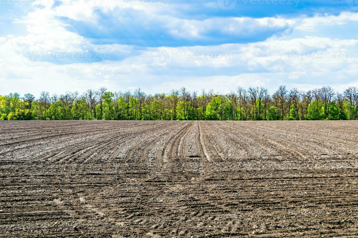 fotografie zum thema großes leeres bauernhoffeld für die organische ernte foto