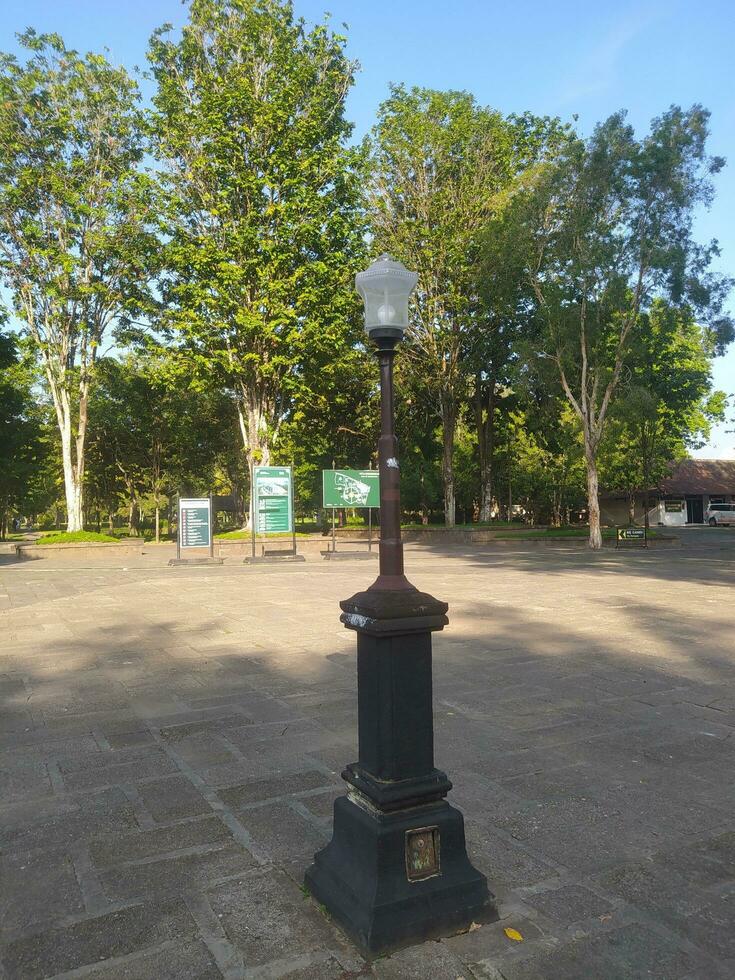 Straße Beleuchtung im das Park Bereich foto