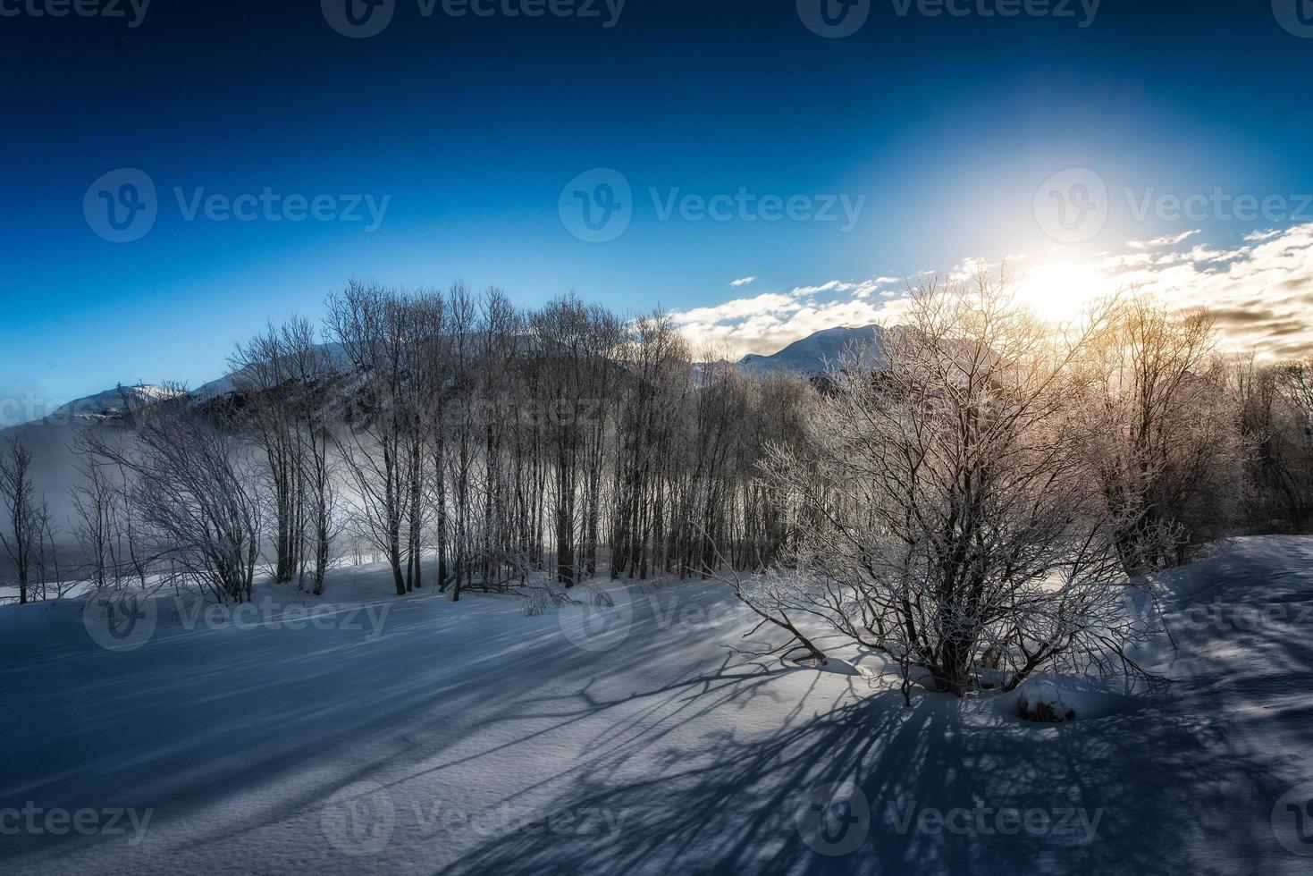 Winterlandschaft bei Sonnenaufgang foto