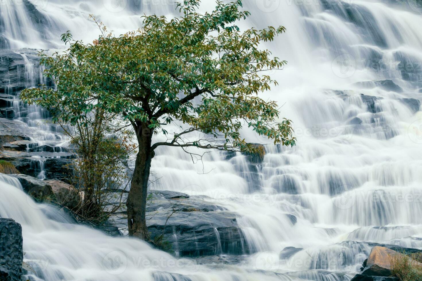 schön Wasserfall im üppig tropisch Grün Wald. Natur Landschaft. mae ya Wasserfall ist gelegen im doi inthanon National Park, Chiang Mai, Thailand. Wasserfall fließt durch Urwald auf Berghang. foto